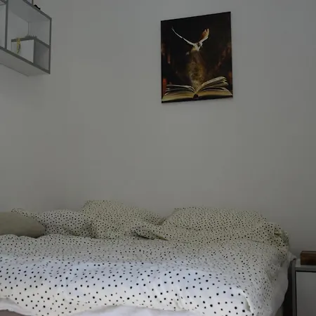 K&v * Veliko Gradište