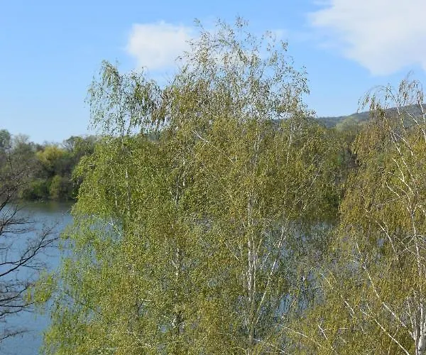 K&v Daire Veliko Gradište