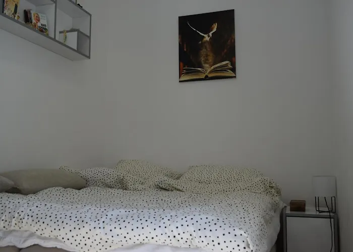 K&v * Veliko Gradište